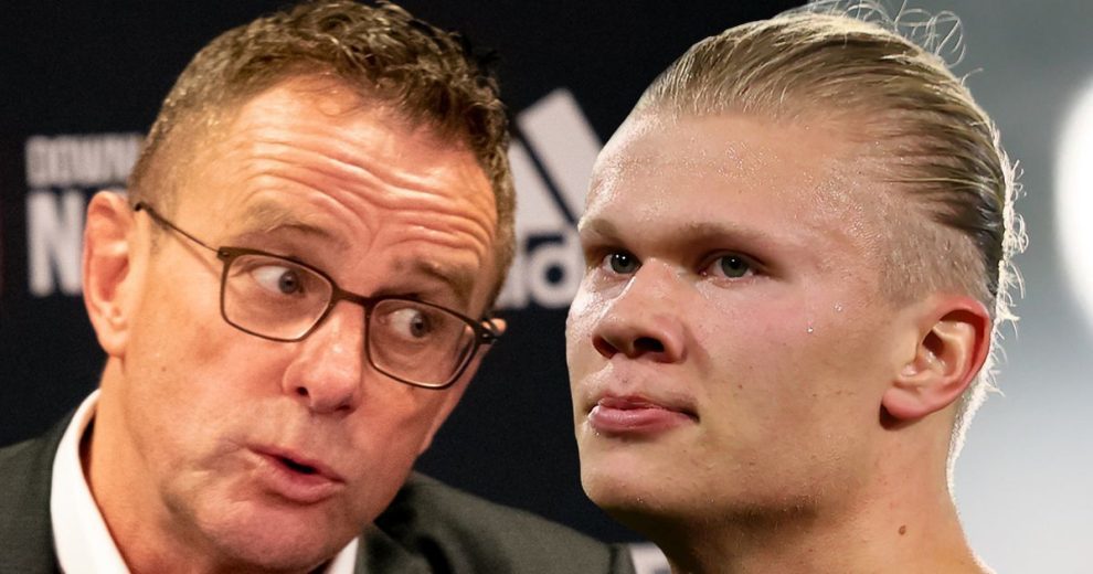 L的高强度 L的高强度